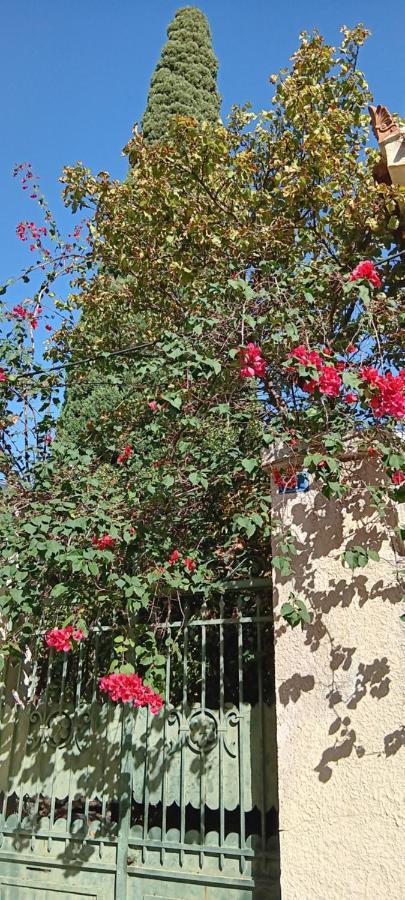 Athenian Asty Guesthouse Exterior foto